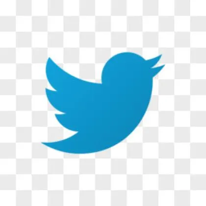 Twitter,2FA,(字符串，包含auth_token，2fa)