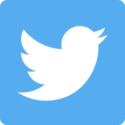 X / Twitter | 2013-2026 | 资料完整 | TOP 搜索 | 2FA | 50+ 推文 | 质量类别：Premium ✅